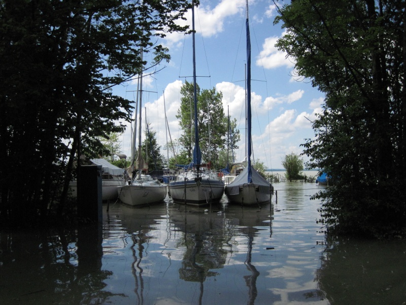 hochwasser2013-10.jpg